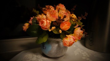 DSC00127.JPG