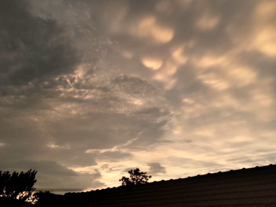 青空栀浅291 - 图虫