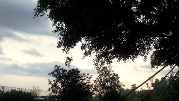 1825575