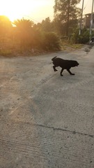 1823865