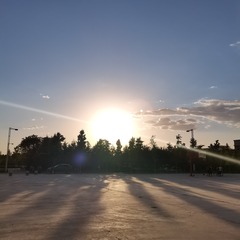 24084