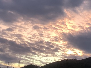 73E81EC8-48D9-4F95-B658-F6F5732183BA/L0/001