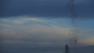 6A52AD51-454C-4AAE-817A-487F951FD767/L0/001