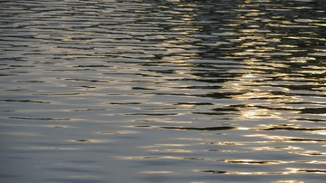 26377F42-6F92-47CB-AEB0-9488B31FE9D5/L0/001