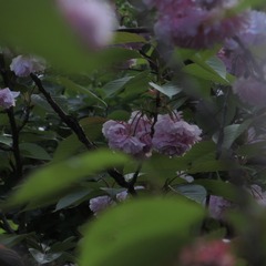 22C764E2-3ED4-437C-B8A8-9F4E5B8E0E29/L0/001