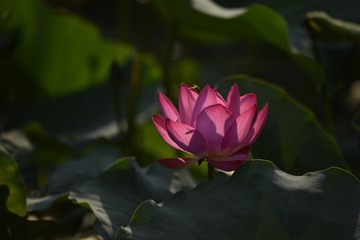 001