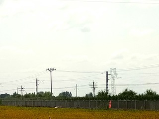 246058