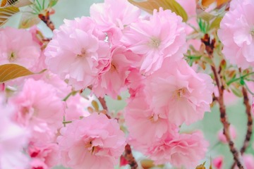 4C743D30-1A86-47F6-932D-C3EA1EFBC543/L0/001
