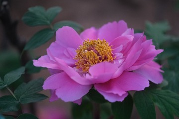 56B299F6-207E-47BA-B165-E7D6CA6DF60A/L0/001