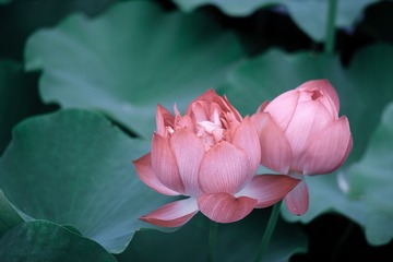 B5D34C51-8A24-42FA-860D-68D583621D82/L0/001