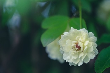 3D9173AF-B400-4501-ACD7-BB37CF1F4AAD/L0/001
