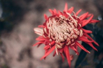 C48DAE16-B059-4C78-9EE0-F01B54CE740A/L0/001