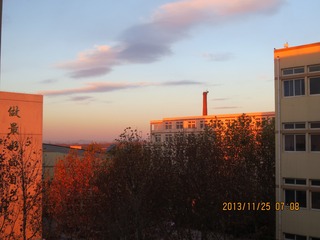 3918221