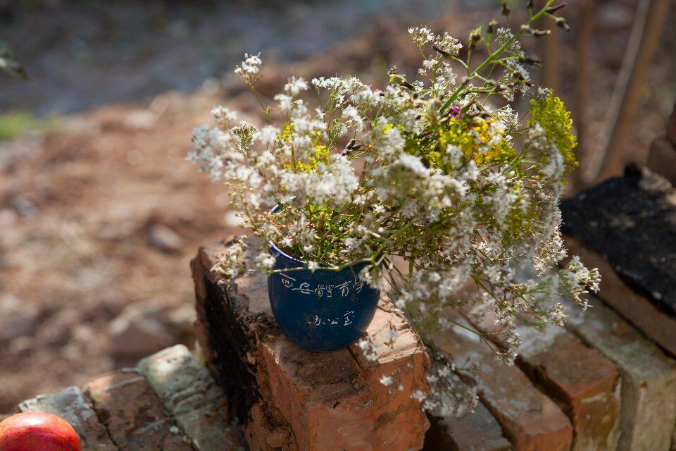 静看花开花落<br />
