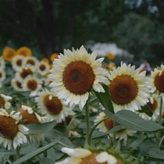 57D561B3-BF6F-46F7-AFEF-010D2A92A5CA/L0/001