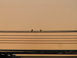 E7773099-CA37-45C0-A6D6-1A91651444F2/L0/001