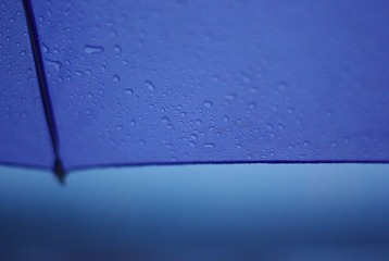 IMGP3575.JPG