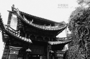 IMGP4485压缩.jpg