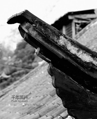 IMGP4592压缩.jpg