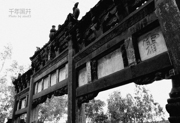 IMGP4668压缩.jpg