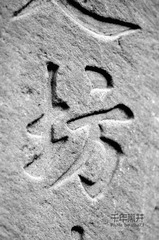 IMGP4688压缩.jpg