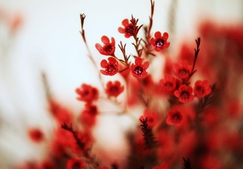 F1E70D71-31A3-45B1-82BA-779E8CB5AE3C/L0/001