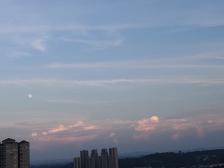 1228644