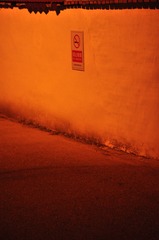 75344