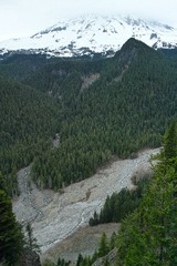 SDIM1039