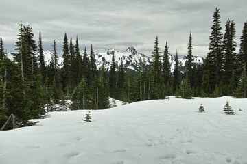 SDIM1045
