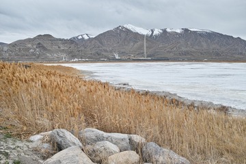 SDIM1049