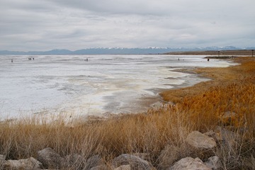 SDIM1051_1