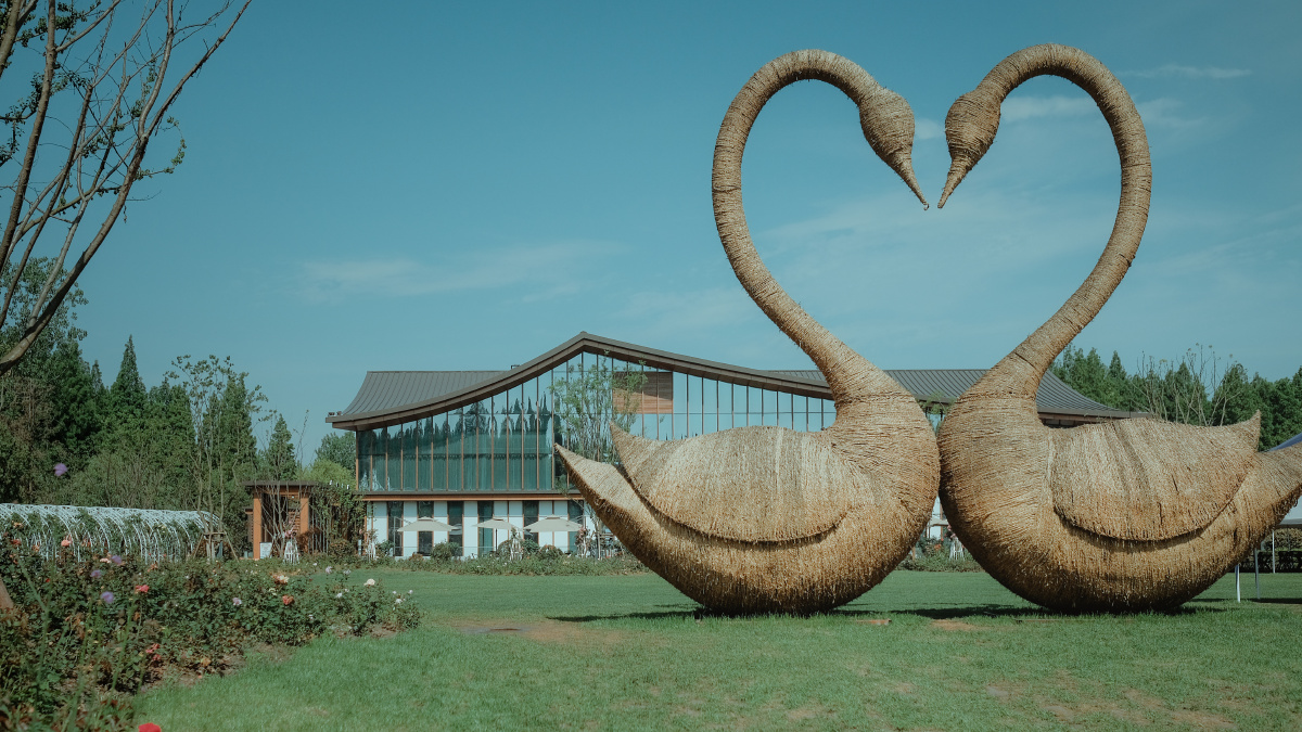 上海崇明岛阳光下花博园一角