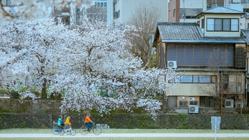 EE91BFE4-250F-439F-BFB6-A72DBAD00FB0/L0/001