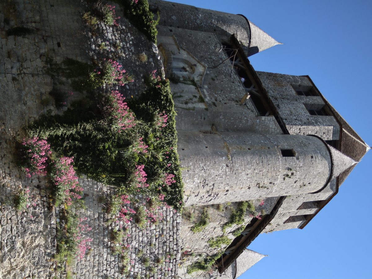 法国玫瑰小镇普罗万2