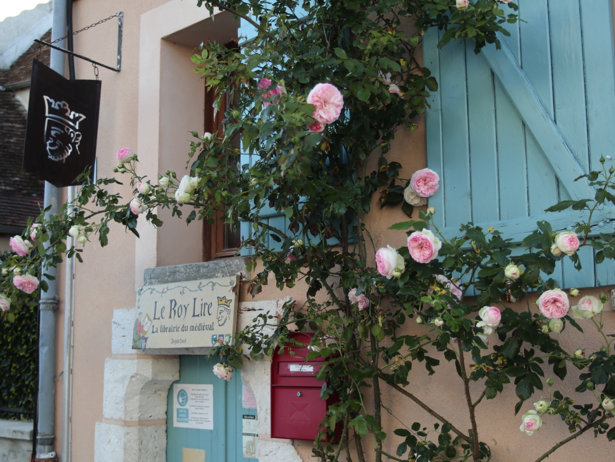 法国小镇普罗万provins玫瑰小镇