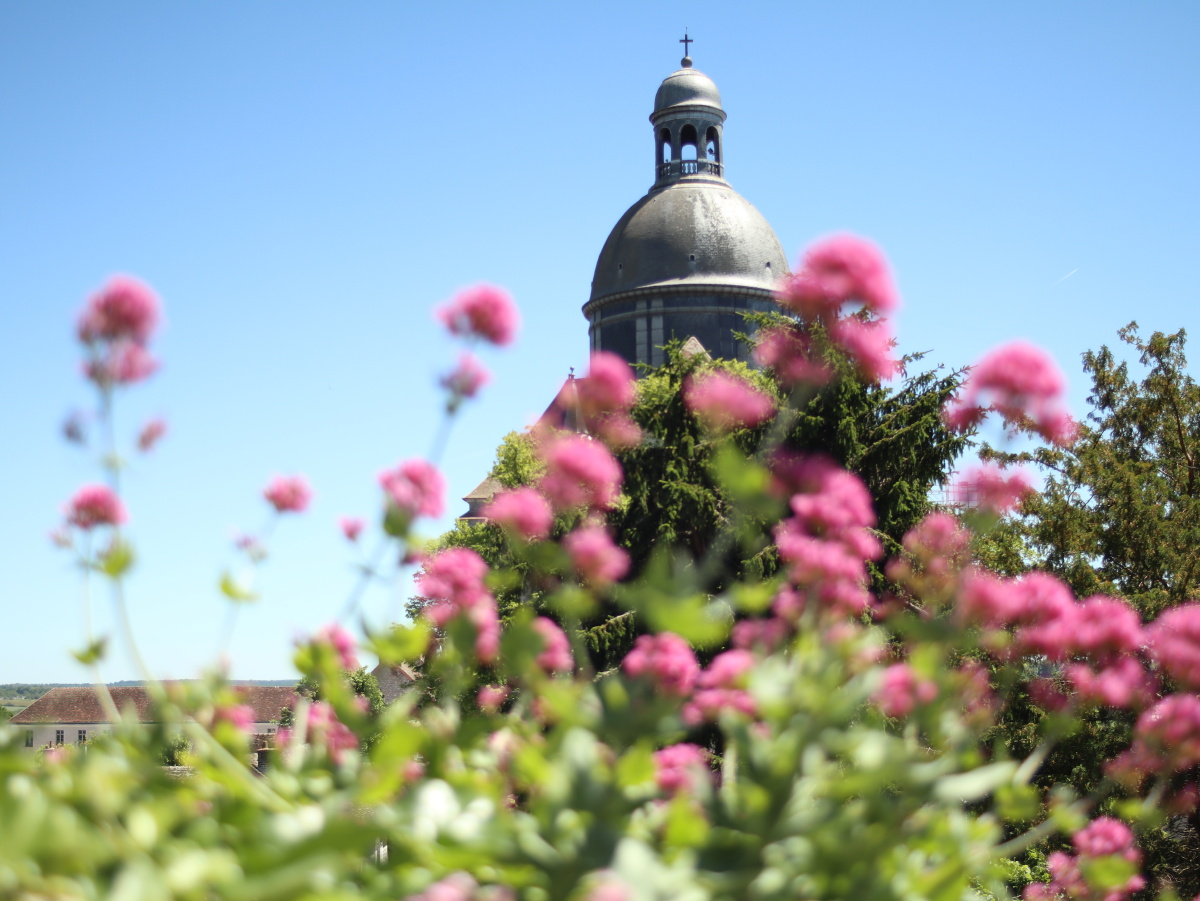 法国玫瑰小镇普罗万2