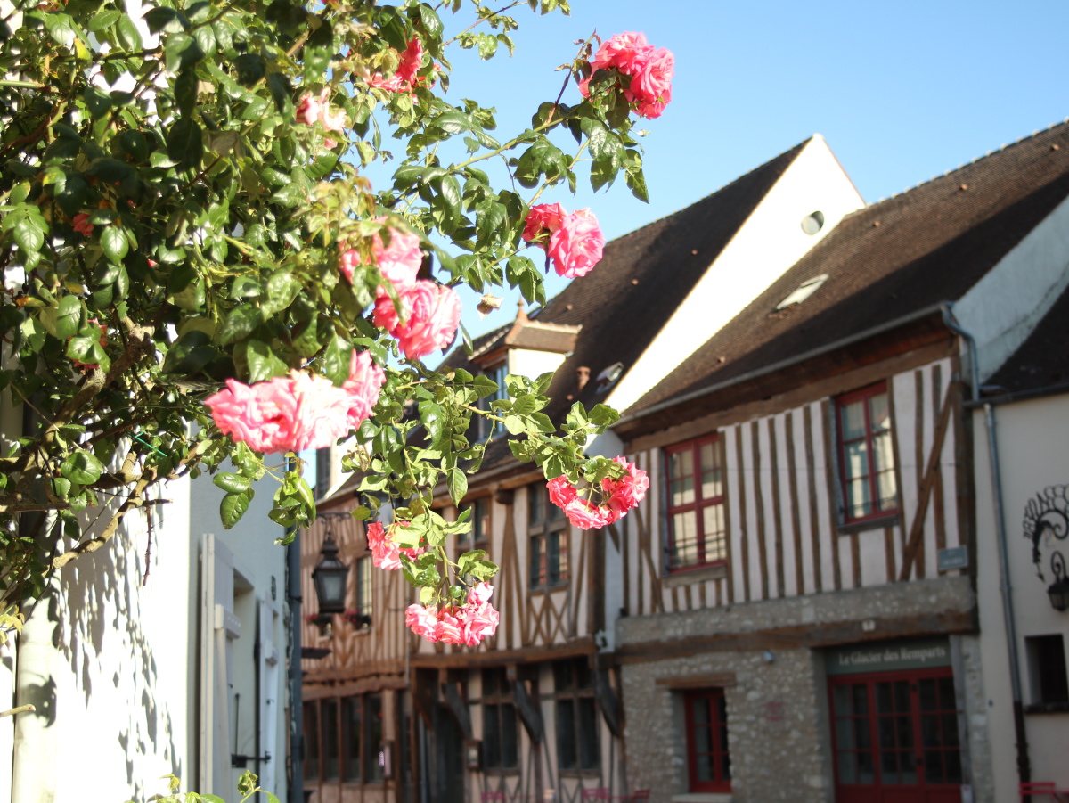 法国小镇普罗万provins玫瑰小镇