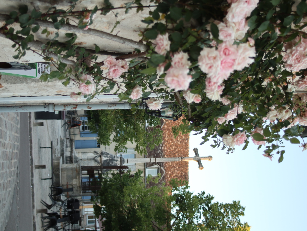 法国小镇普罗万provins玫瑰小镇