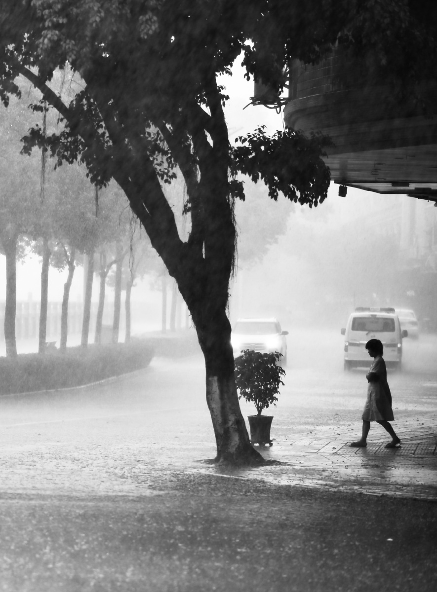 雨中站在树旁的人