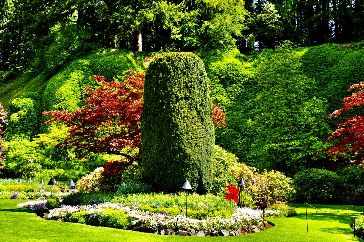 世界上最美的花园加拿大布查特花园世界上有很多美好的事情最初往往是