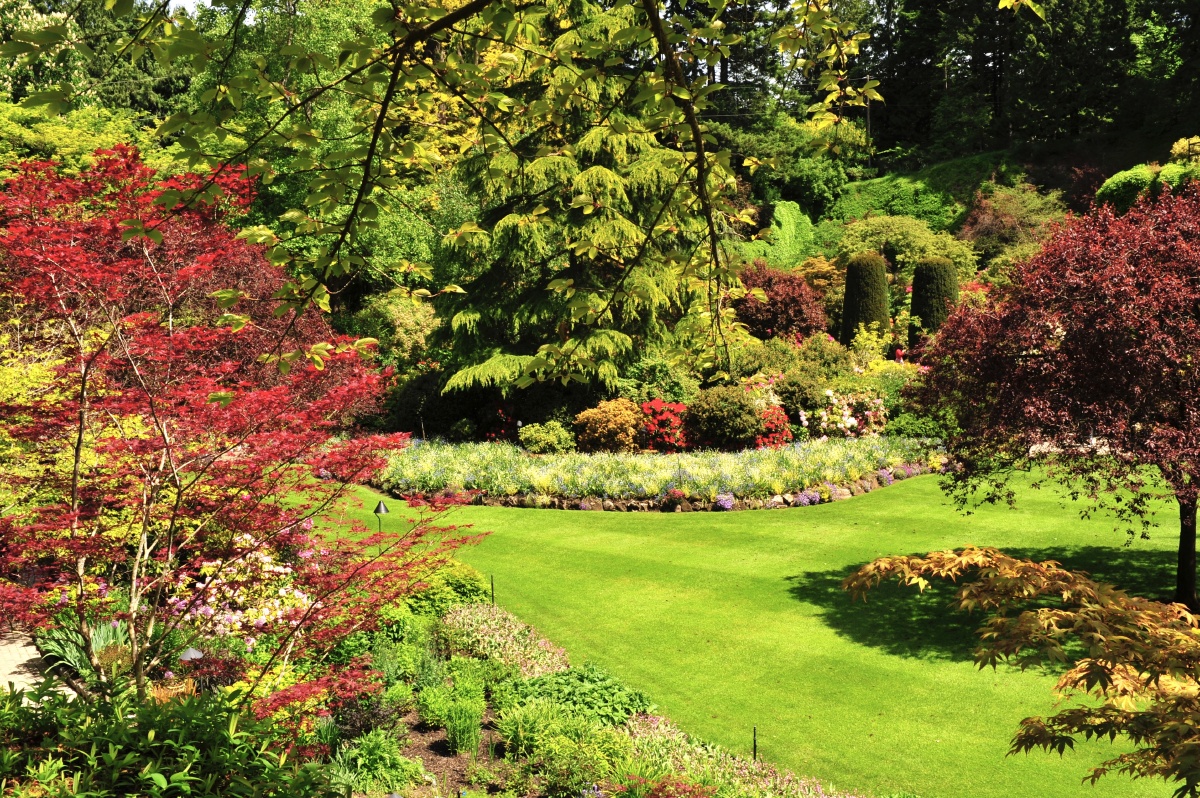 世界上最美的花园加拿大布查特花园世界上有很多美好的事情最初往往是