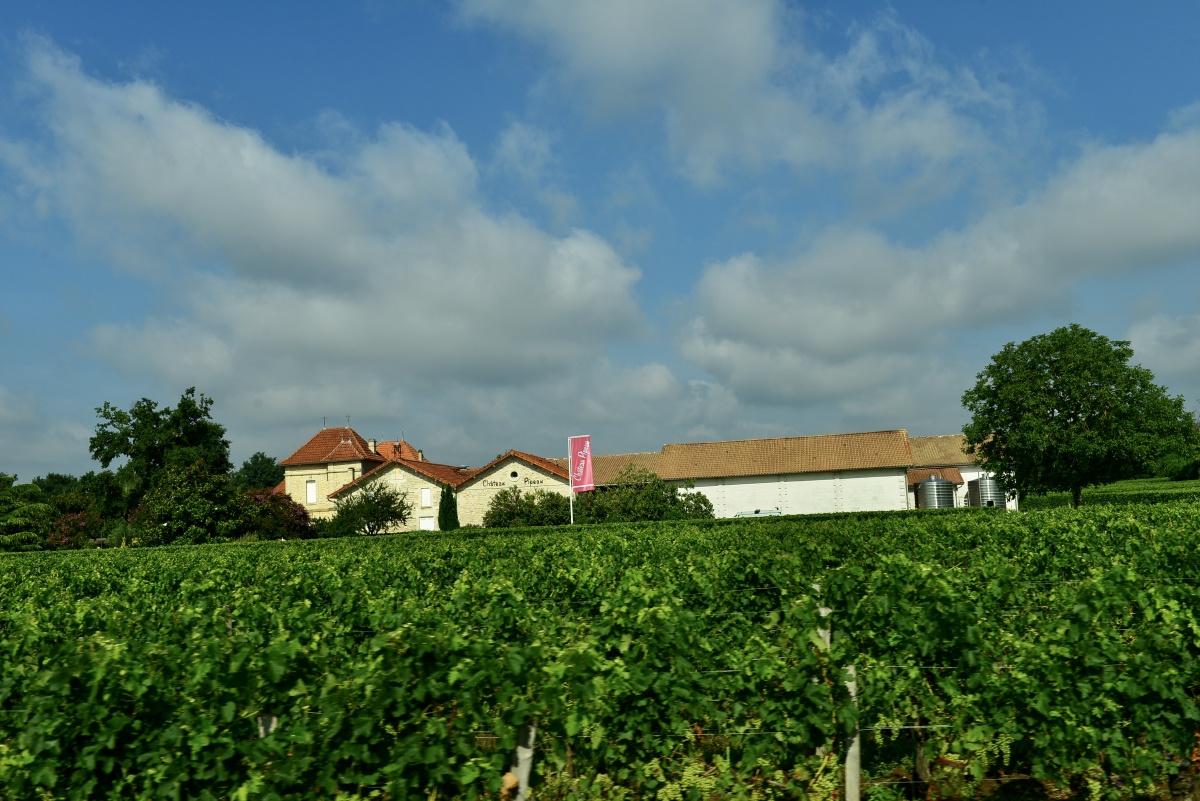 葡萄庄园壁纸,葡萄壁纸_大山谷图库