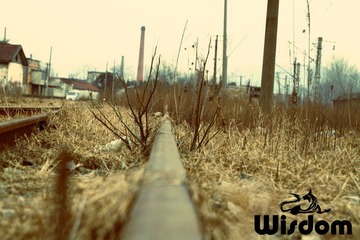 DPP_0032.jpg