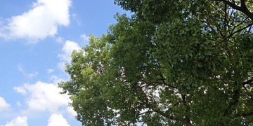 157064