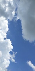 144501