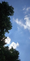 157061