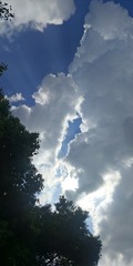 144662