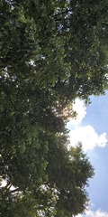 157060