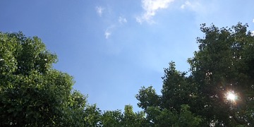 157063